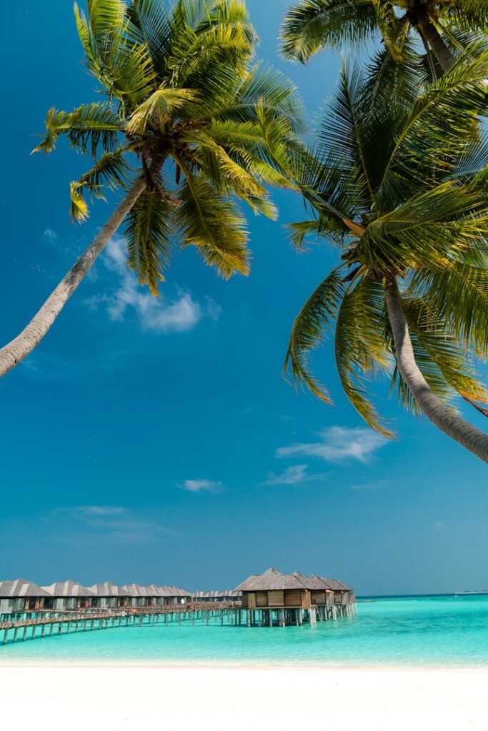 travelshopdot.com