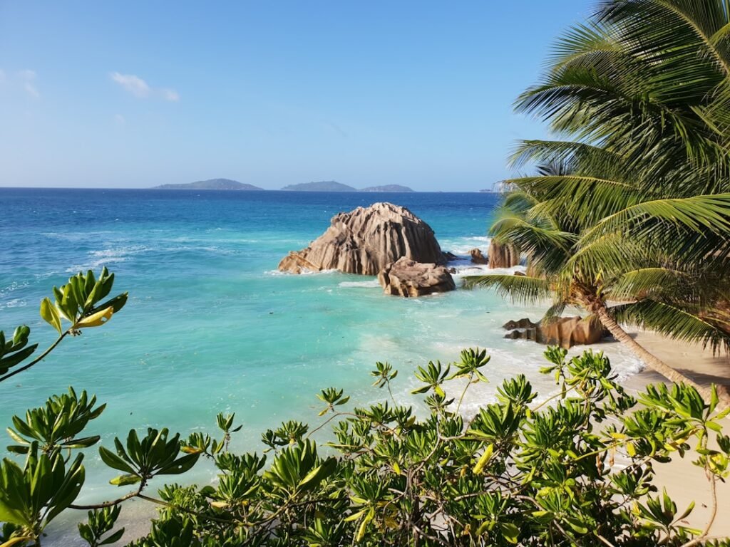 travelshopdot.com