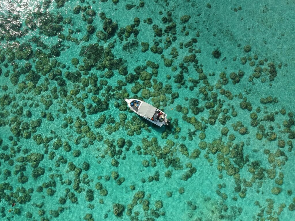 travelshopdot.com