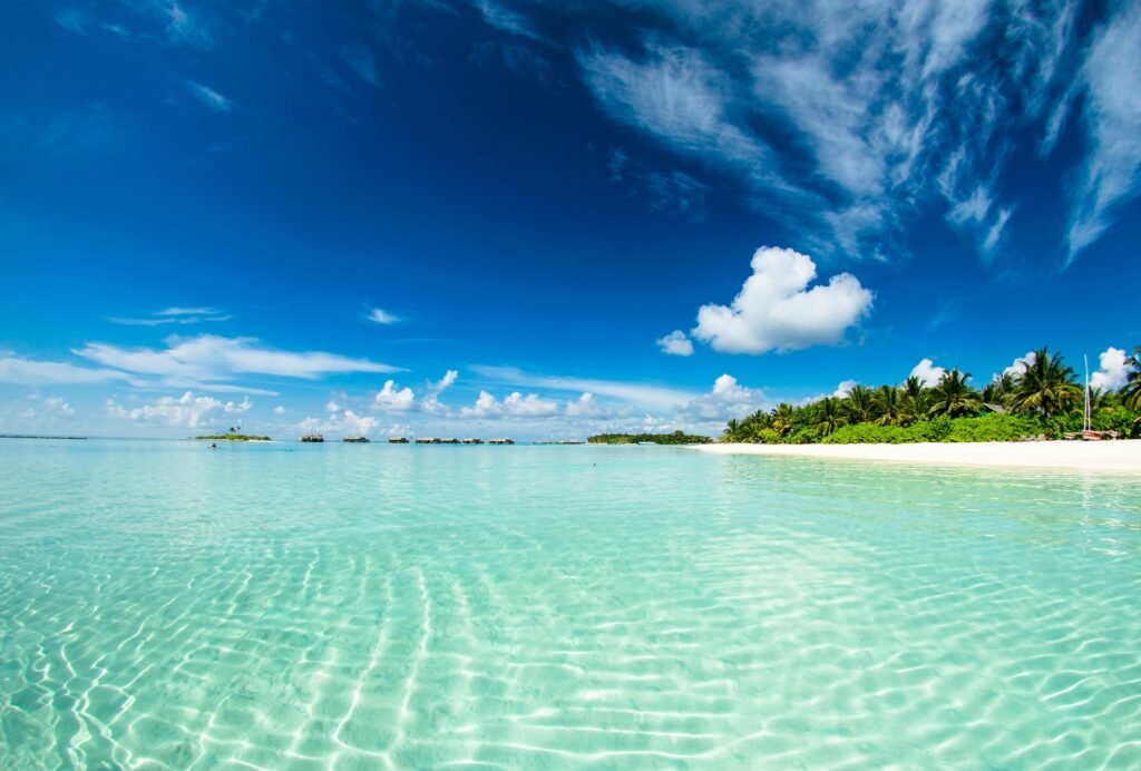 travelshopdot.com