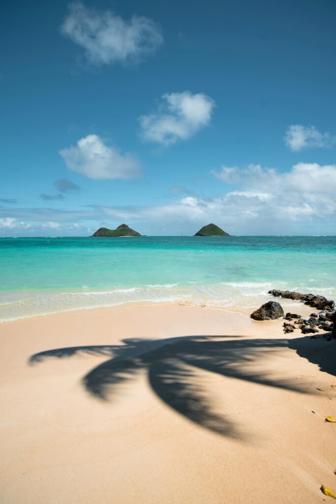travelshopdot.com