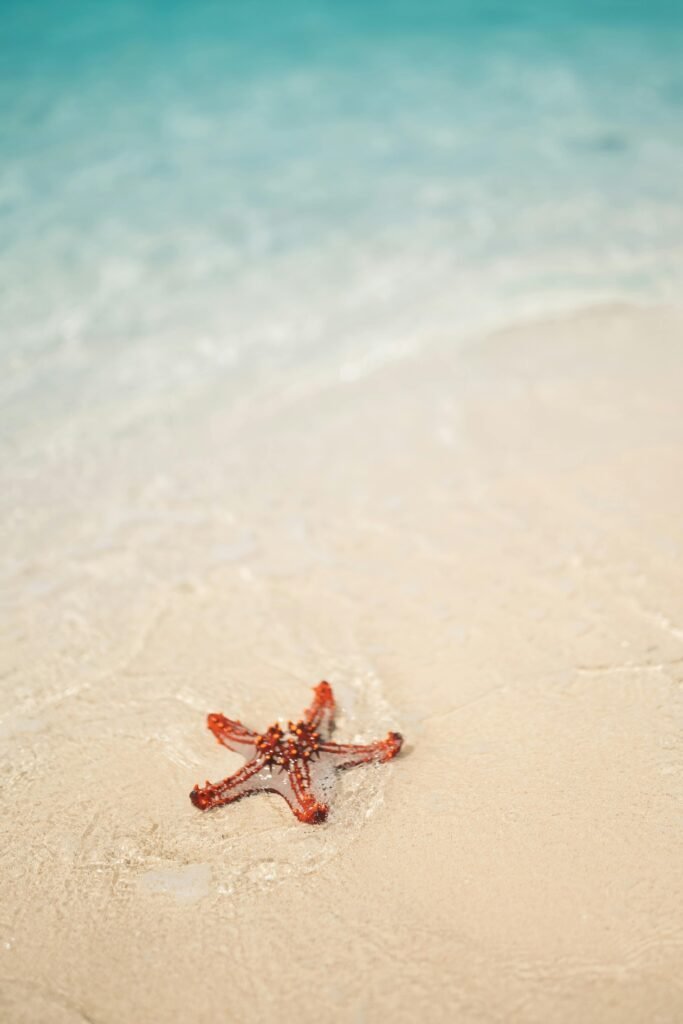 travelshopdot.com