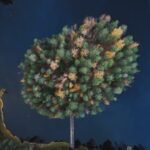 a tree is shown in the middle of the night