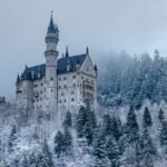 white and brown castle surrounded by trees covered with snow