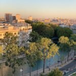 aerial photo of trees near body of water