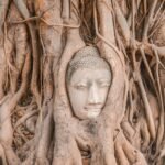 brown concrete face carved on brown tree