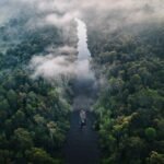 green trees under white clouds during daytime